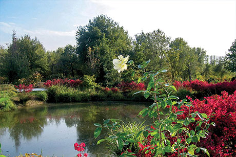 Ankara Milli Botanik Bahçesi